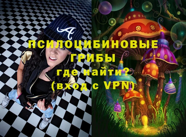 твердый Аркадак