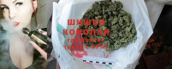 ПСИЛОЦИБИНОВЫЕ ГРИБЫ Арсеньев