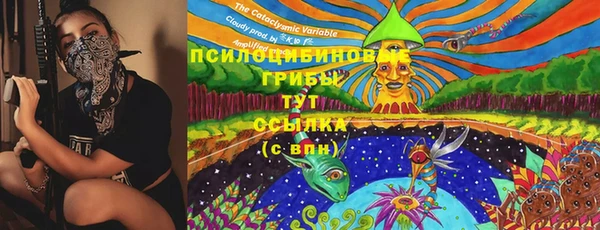 твердый Аркадак