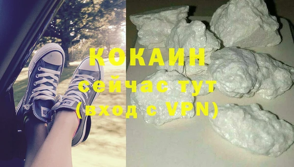 твердый Аркадак