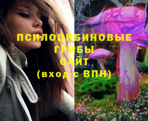 экстази Армянск