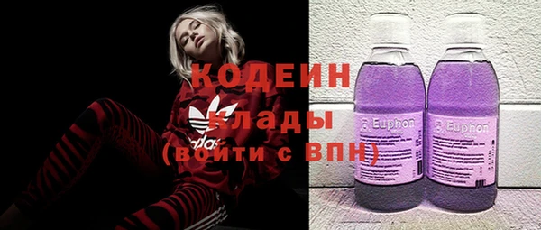 ПСИЛОЦИБИНОВЫЕ ГРИБЫ Арсеньев