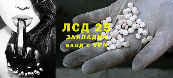 ПСИЛОЦИБИНОВЫЕ ГРИБЫ Арсеньев
