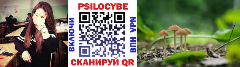 Галлюциногенные грибы Cubensis  Купить где  Лукоянов 